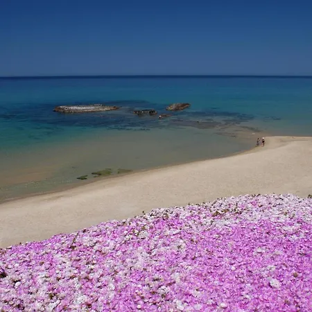 Residenza “la Vecchia Ancora” 카스텔사르도